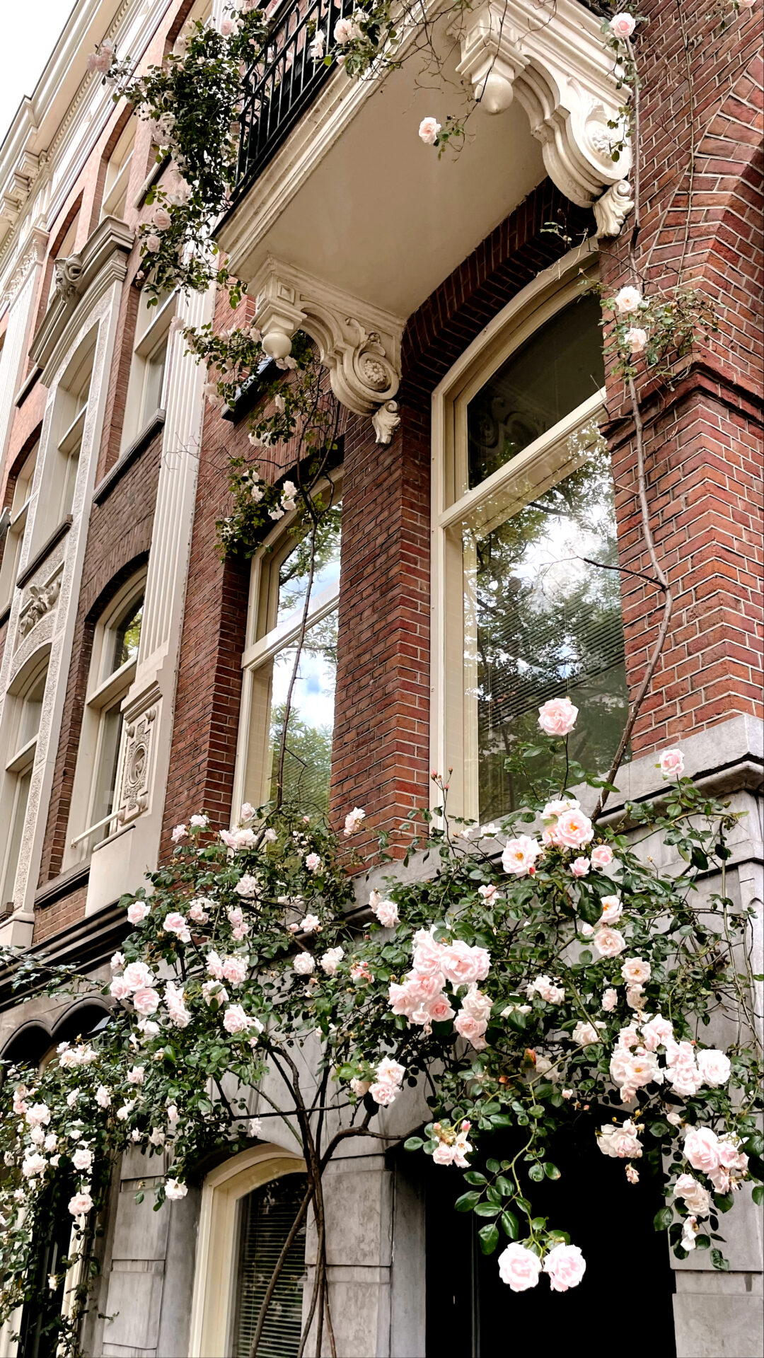 The 9 Best Things to Do in Amsterdam + 2 Things I’d Skip in 2026