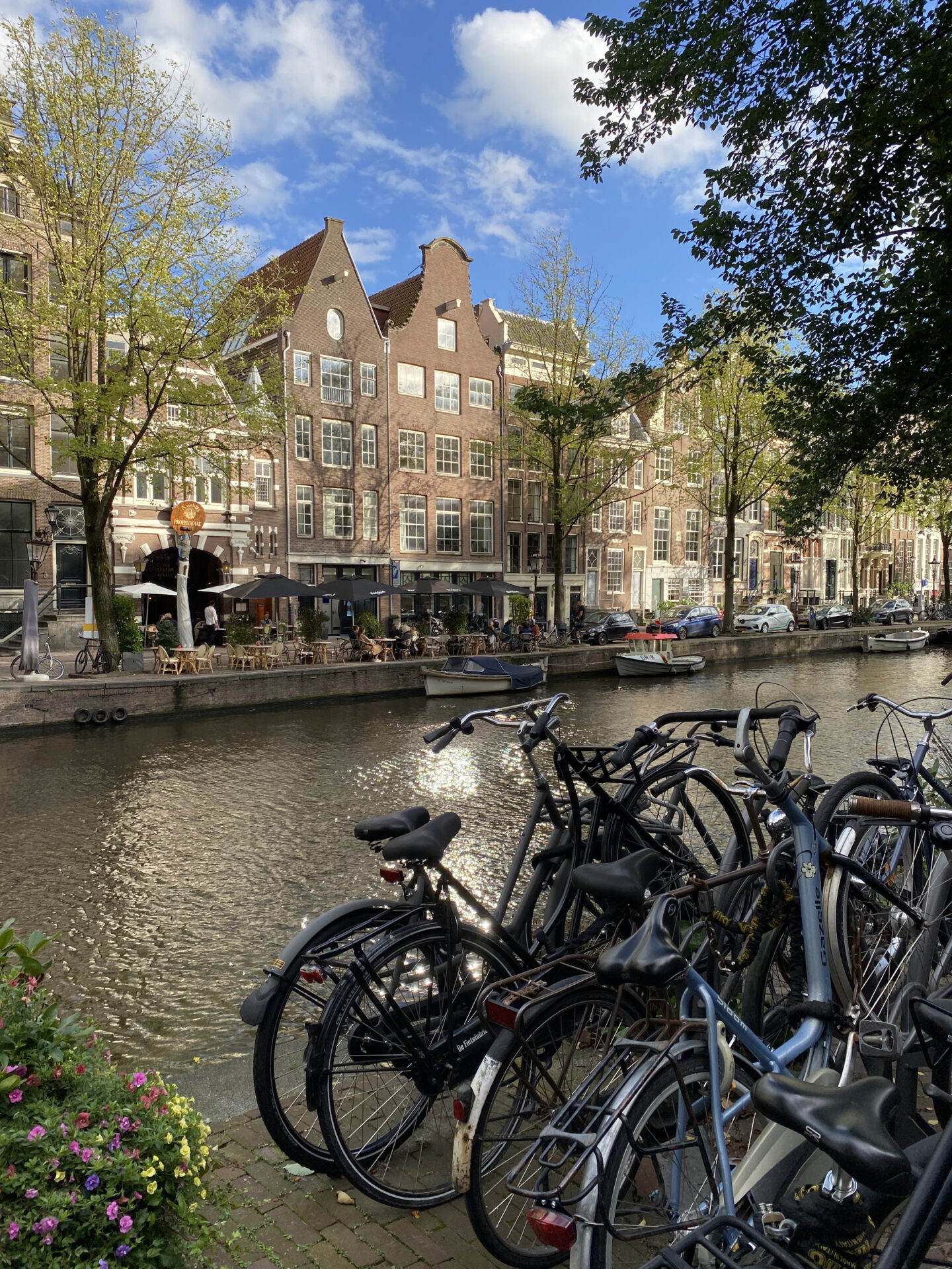 The 9 Best Things to Do in Amsterdam + 2 Things I’d Skip in 2026