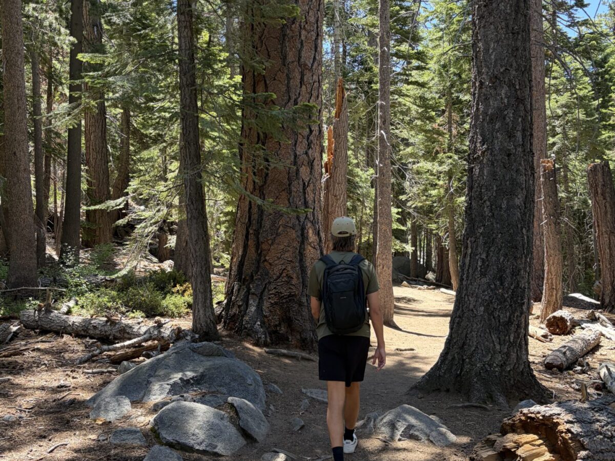 Is Lake Tahoe Expensive? My Honest Cost Breakdown for 4 Days in Lake Tahoe CA