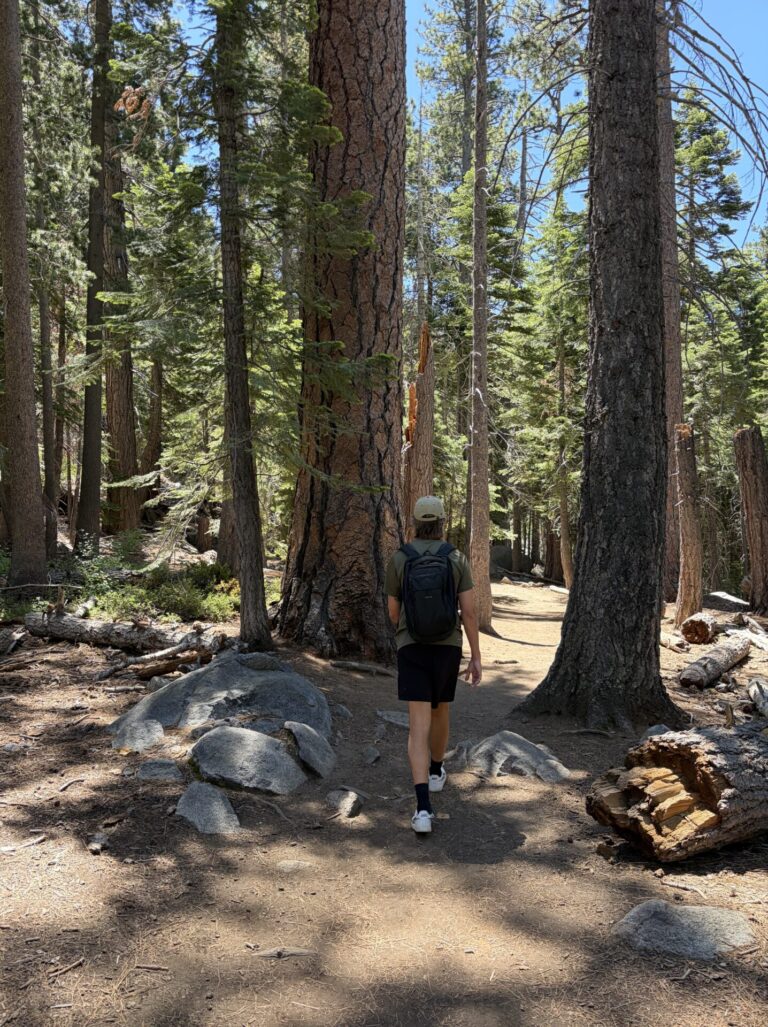 Is Lake Tahoe Expensive? My Honest Cost Breakdown for 4 Days in Lake Tahoe CA