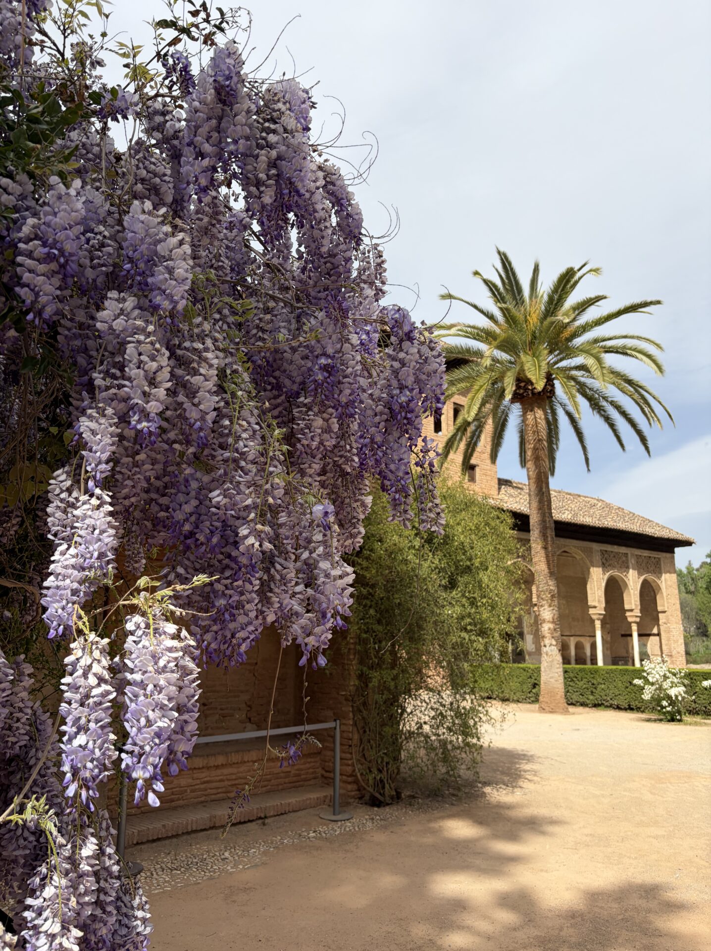 My Review: Is the Alhambra in Granada Worth Visiting? 2026