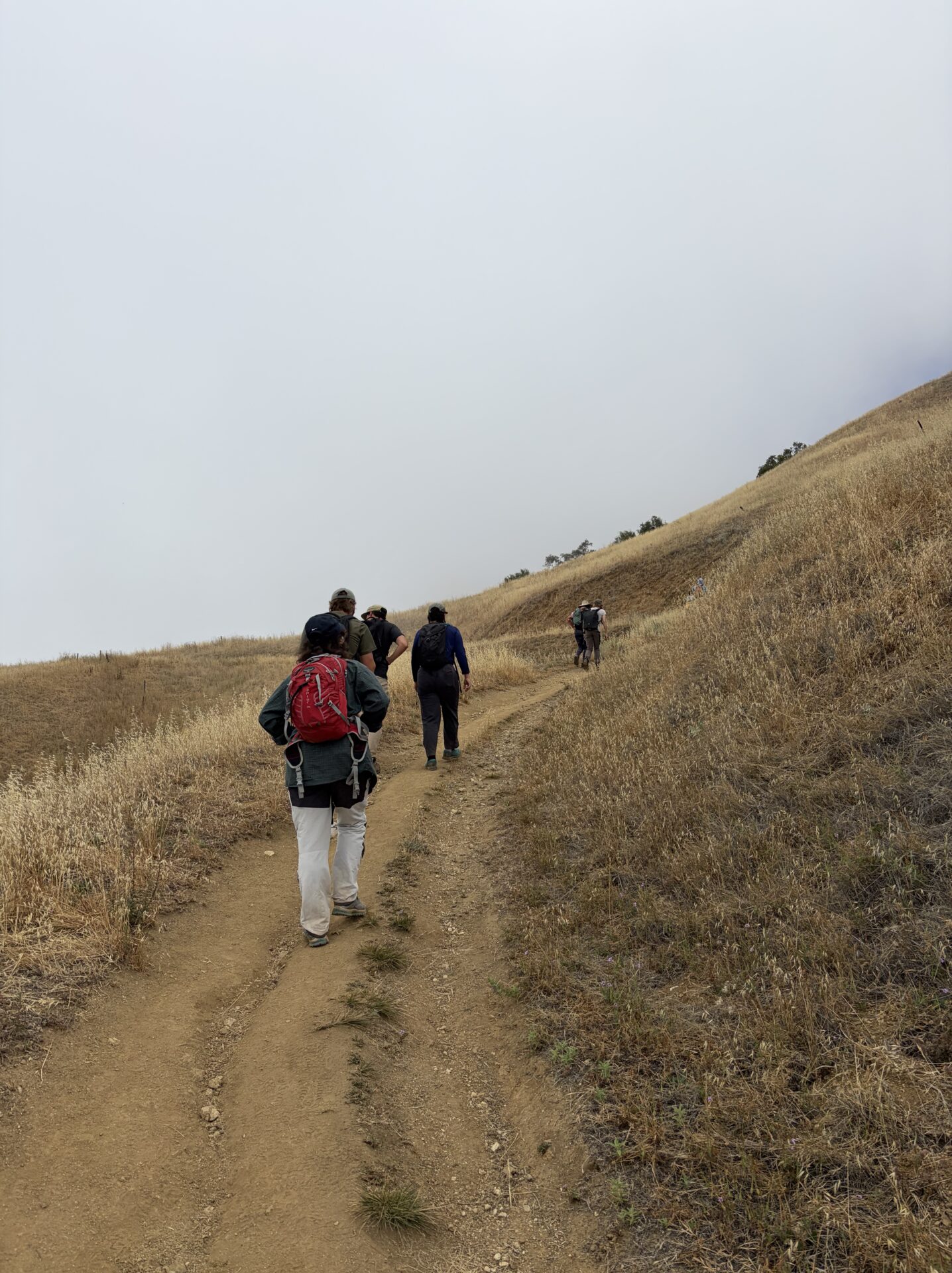 The 3 Best Hikes at Big Sur California: My Top Trails in 2026
