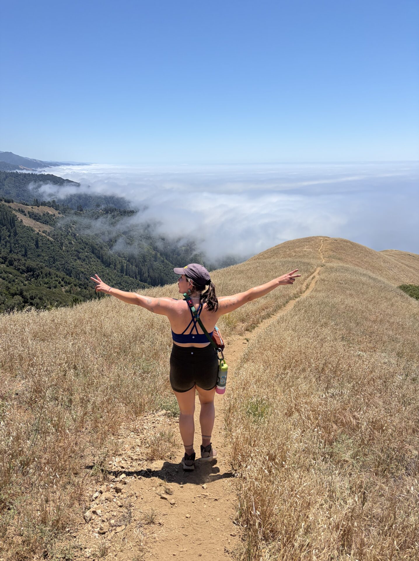 The 3 Best Hikes at Big Sur California: My Top Trails in 2026