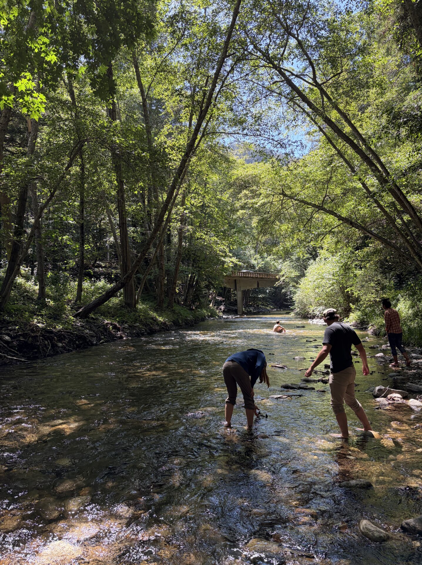 The 9 Best Things to Do in Big Sur California + 2 Hidden Gems in 2026