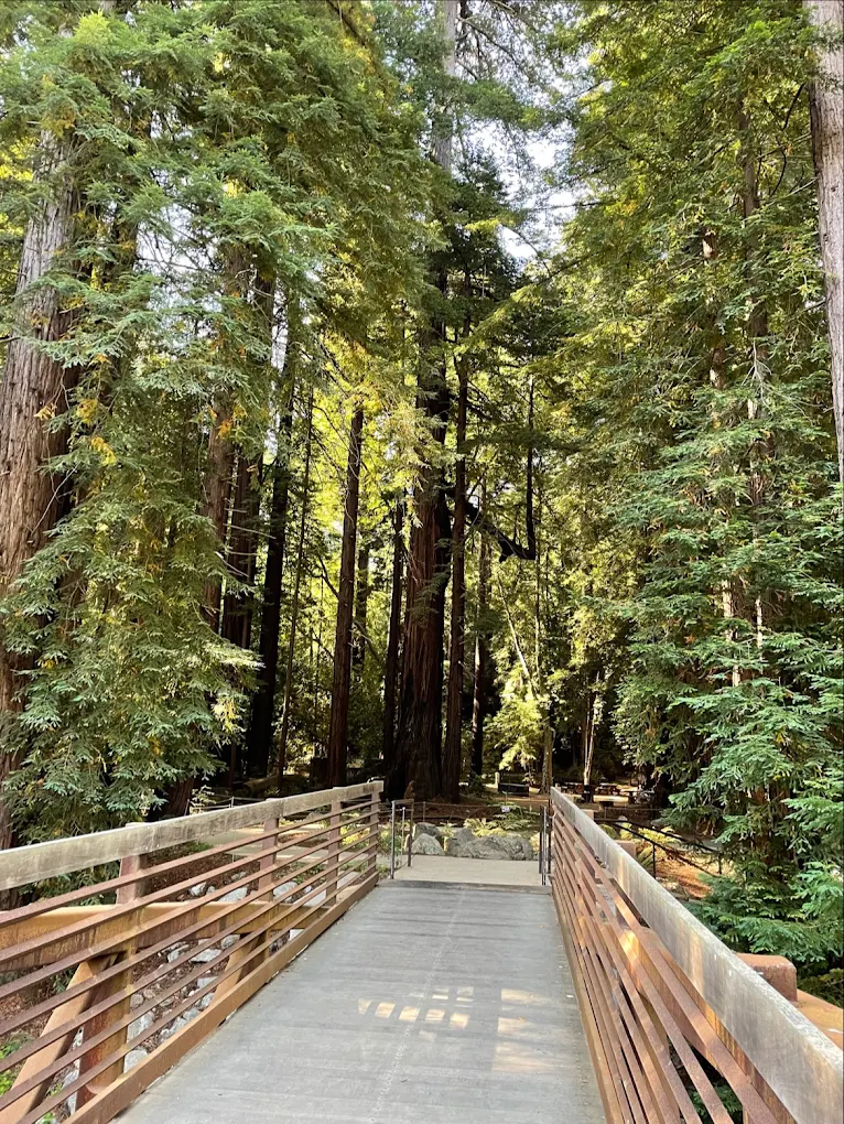 The 3 Best Hikes at Big Sur California: My Top Trails in 2026
