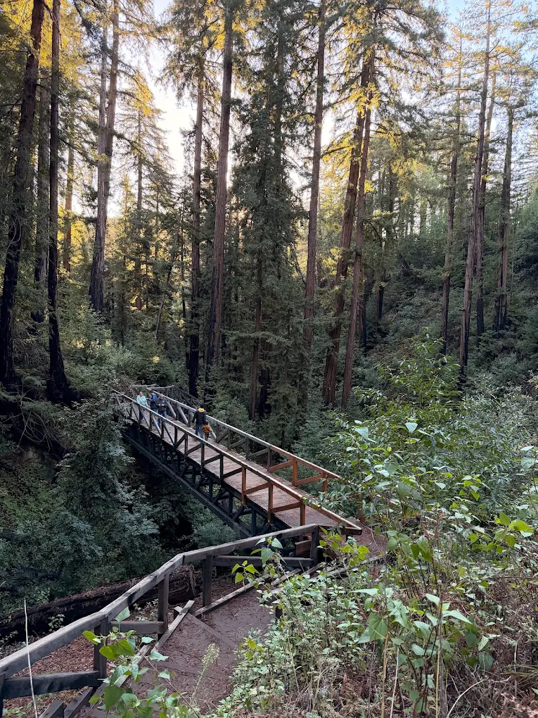 The 9 Best Things to Do in Big Sur California + 2 Hidden Gems in 2026