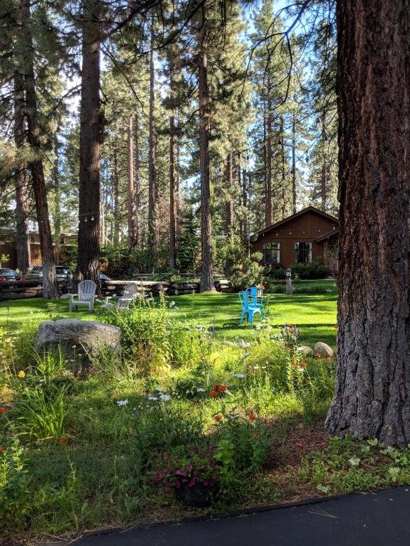 Where to Stay in Lake Tahoe: My TOP Areas & Hotels in 2026 (Summer)
