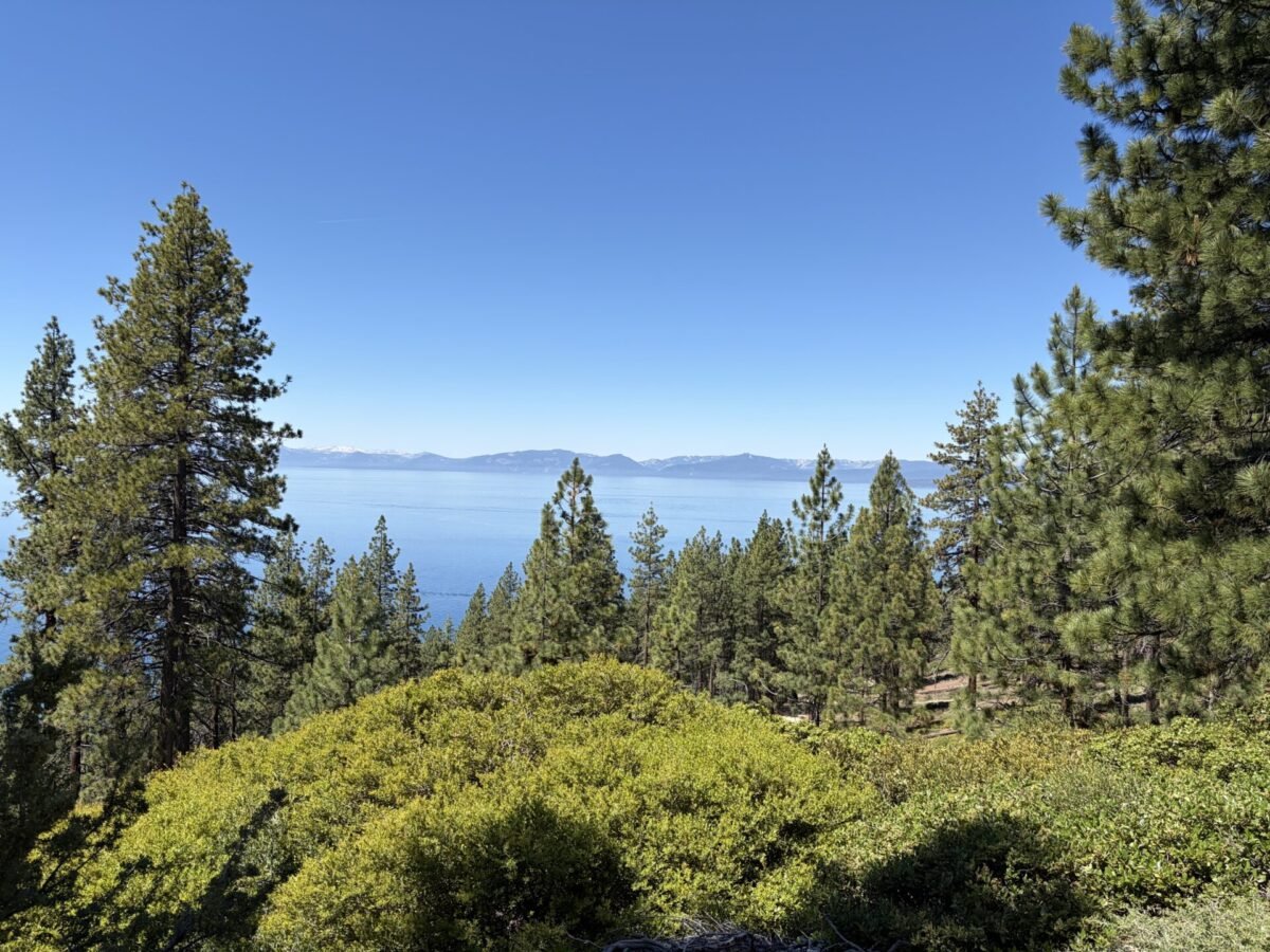The 6 Best Lake Tahoe Hikes I Actually Did in 2026 (Mostly Easy Hikes)