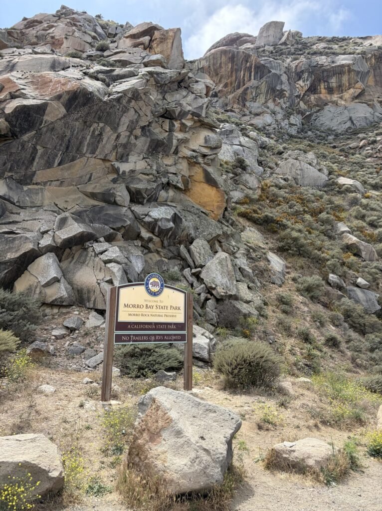 The 9 Best Things to Do in Morro Bay California: My Top Activities in 2026