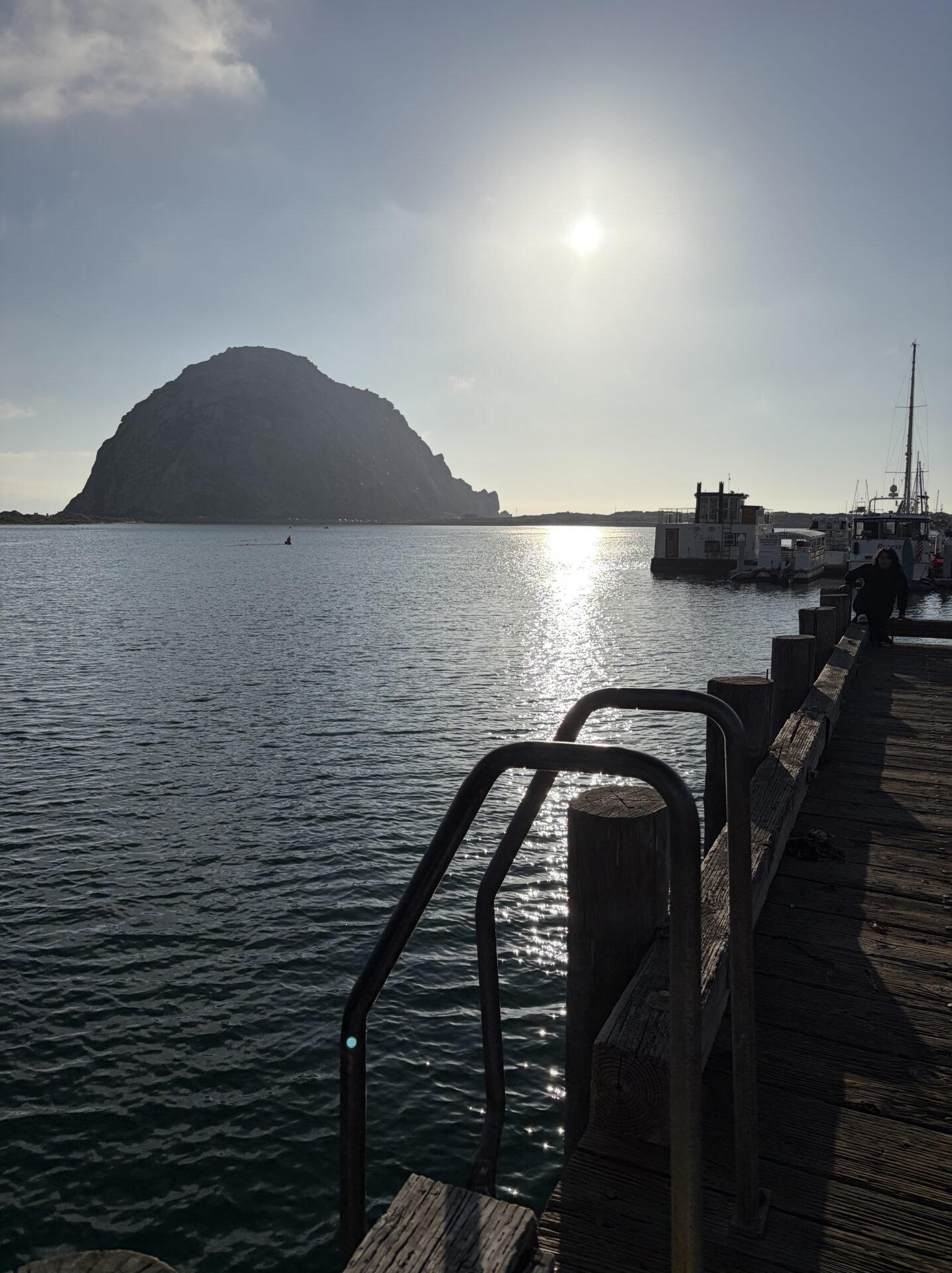 Mini Guide: Where to See Sea Lions & Otters in Morro Bay 2026