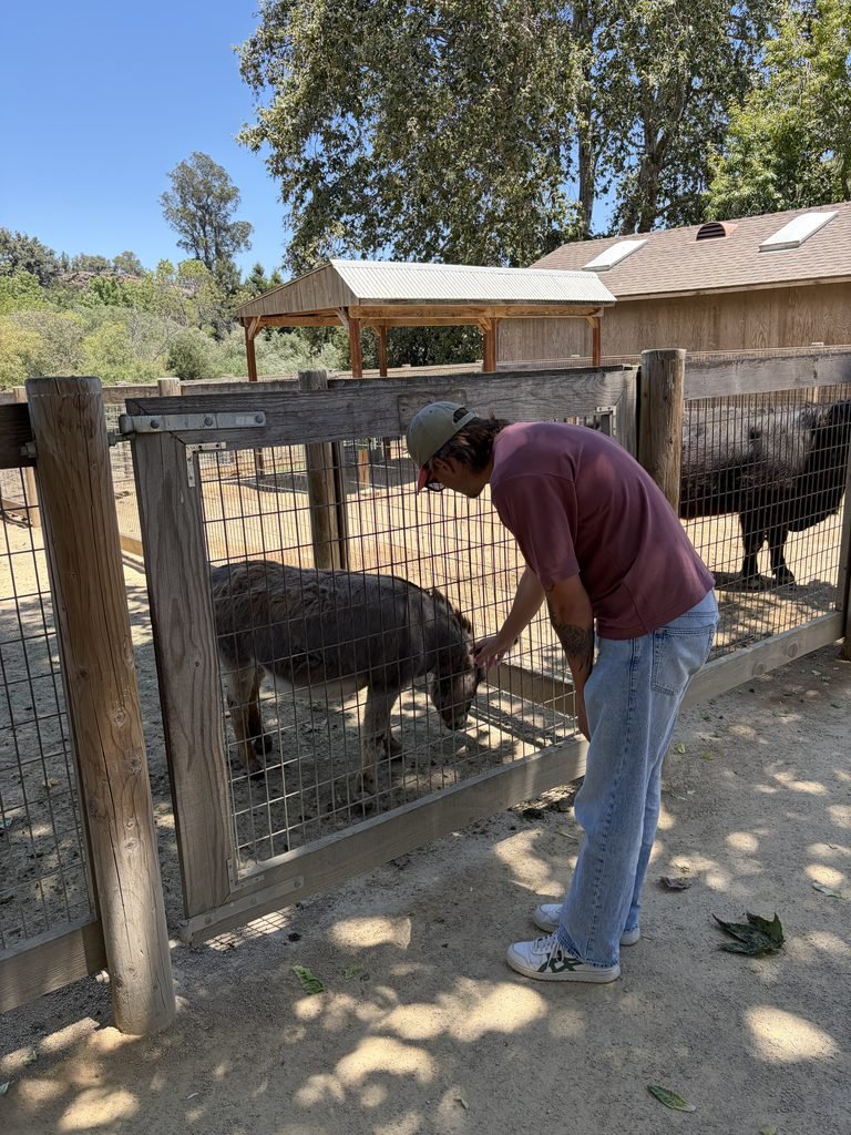 The 7 Best Things to Do in San Luis Obispo + 1 Thing I Would Skip in 2026