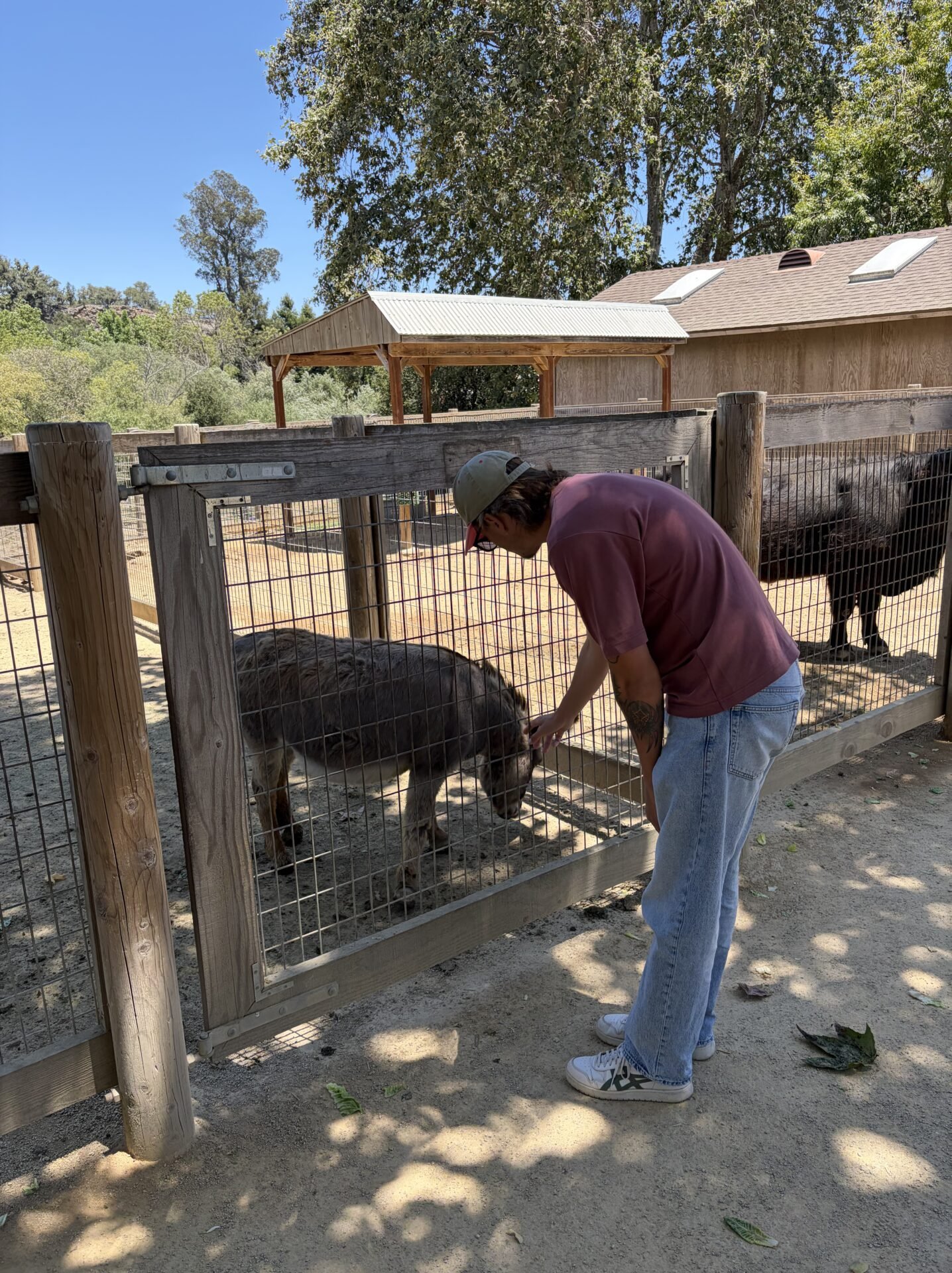 Santa Barbara vs. San Luis Obispo: My Perfect Weekend Getaway in 2026