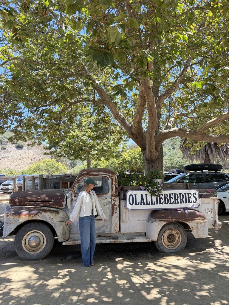 The 7 Best Things to Do in San Luis Obispo + 1 Thing I Would Skip in 2026