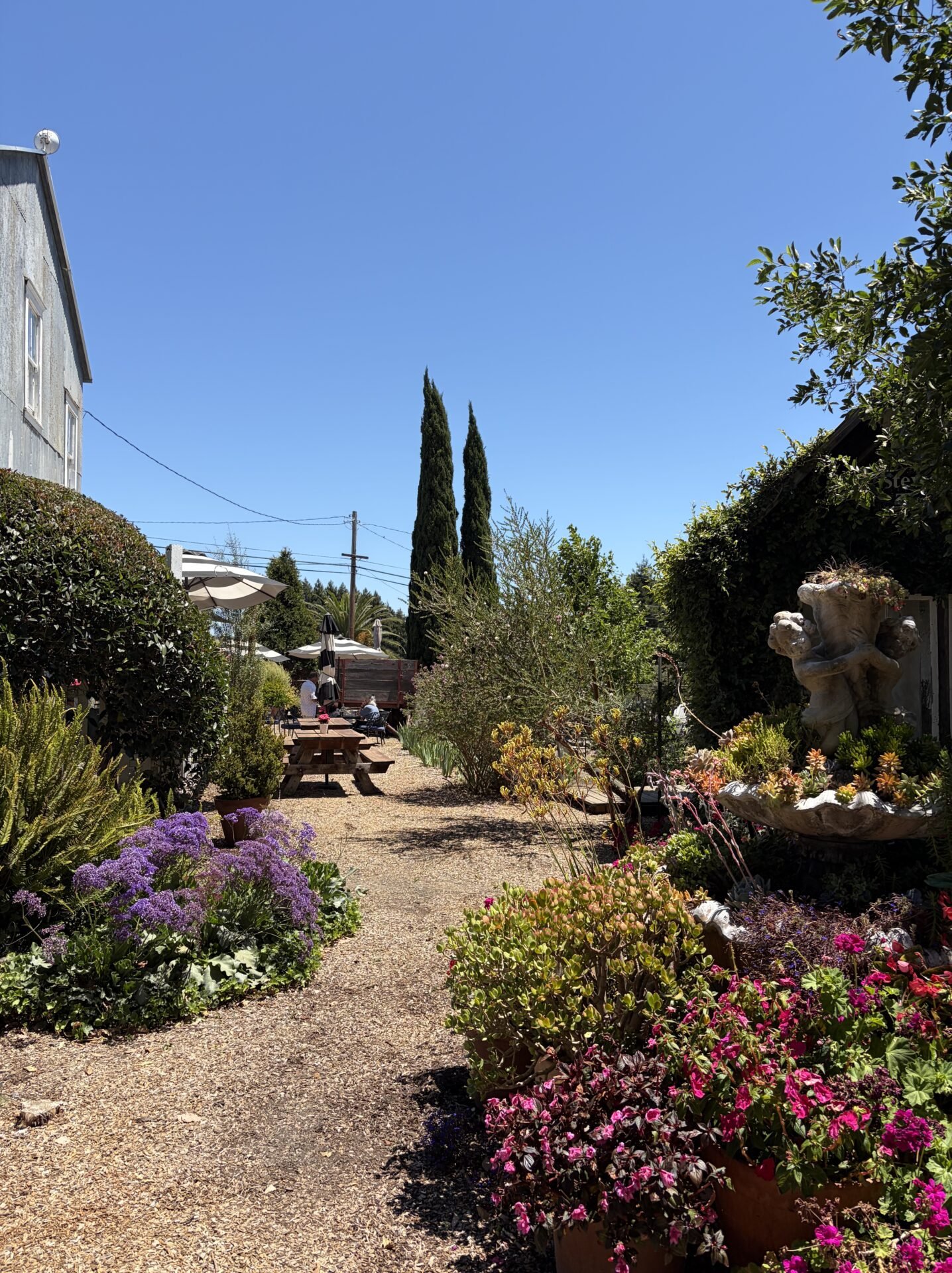 The 7 Best Things to Do in San Luis Obispo + 1 Thing I Would Skip in 2026