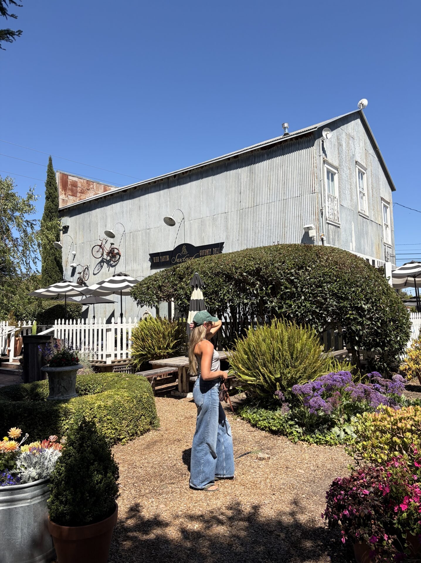 The 9 Best Things to Do in Morro Bay California: My Top Activities in 2026