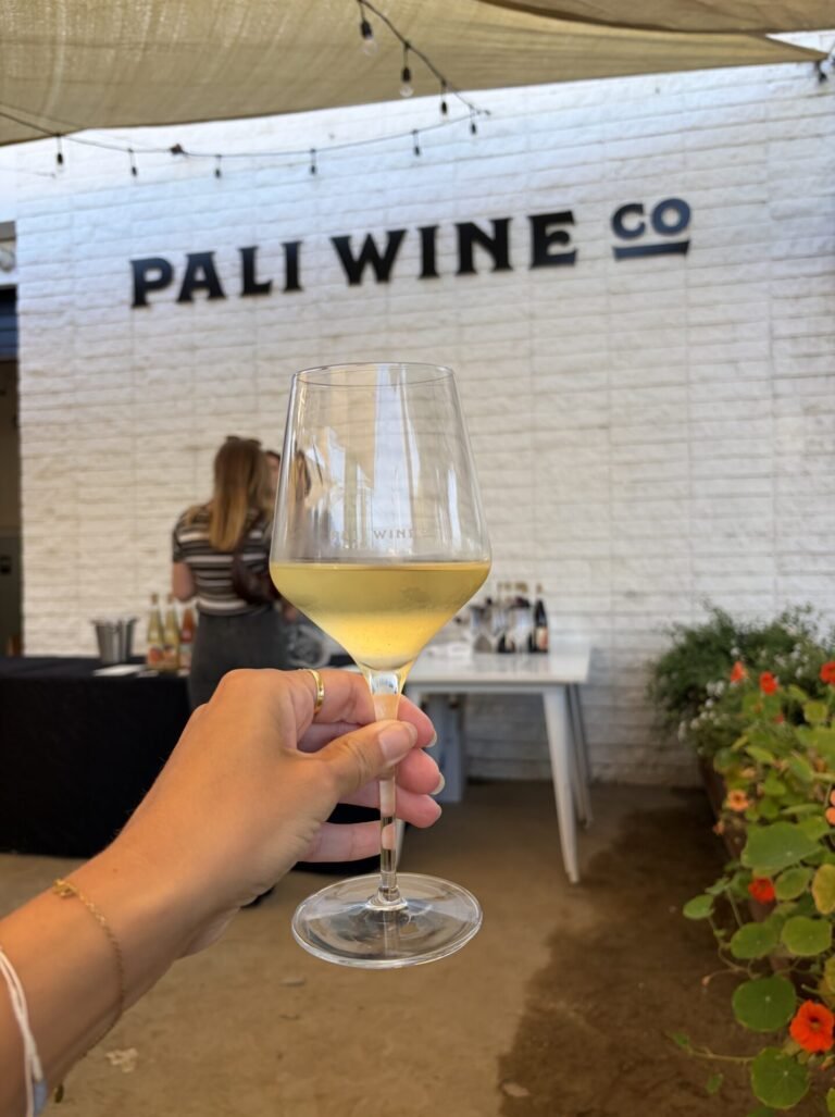 The 5 Best Wine Bars in Santa Barbara: Where I’d Go for a Glass of Wine in 2026