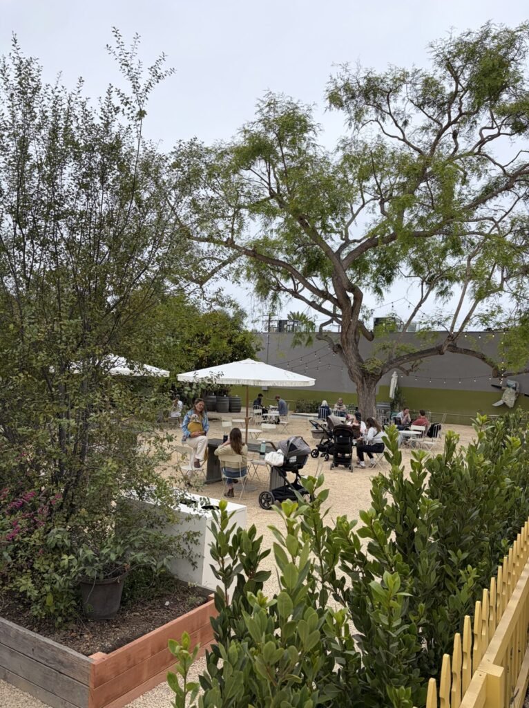 The 7 Best Cafes in Santa Barbara CA: My Favorite Coffee Shops in 2026