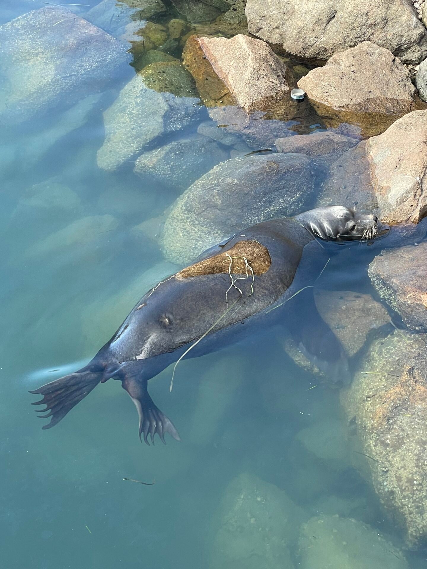 2 Days in Morro Bay California: My Weekend Itinerary in 2026