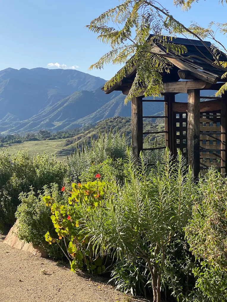 The 7 Best Things to Do in Ojai California: My Top Activities in 2026