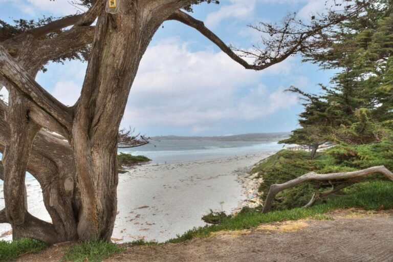 The 7 Best Things to Do in Carmel-by-the-Sea: My Favorite Activities in 2026