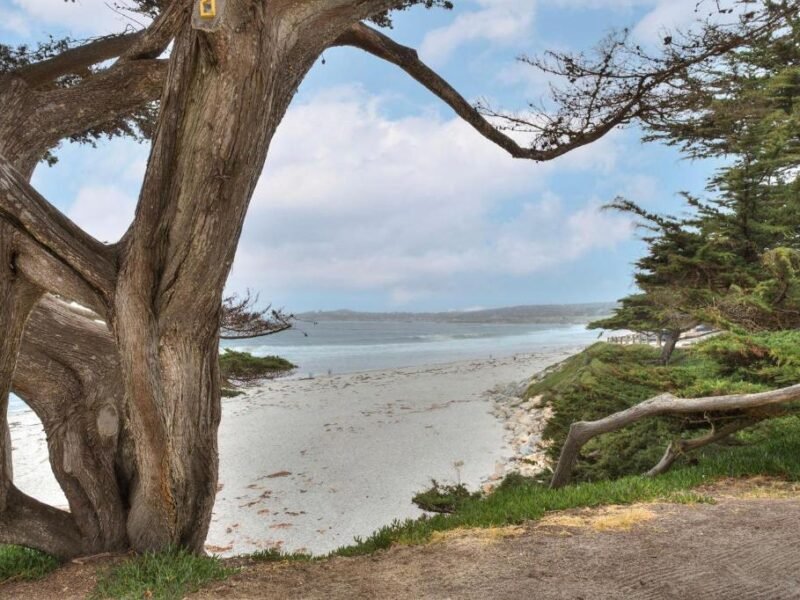 The 7 Best Things to Do in Carmel-by-the-Sea: My Favorite Activities in 2026