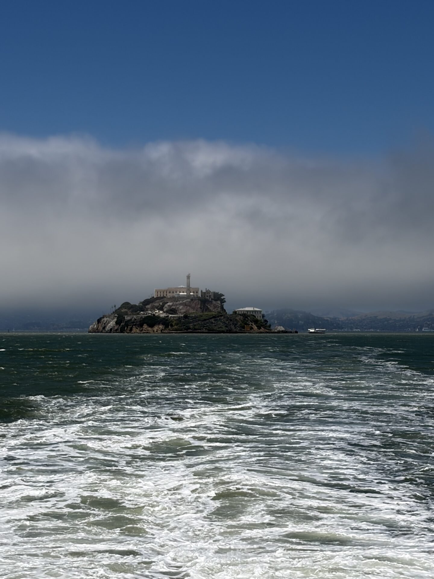 When Is the Best Time to Visit San Francisco? My Seasonal Guide for 2026