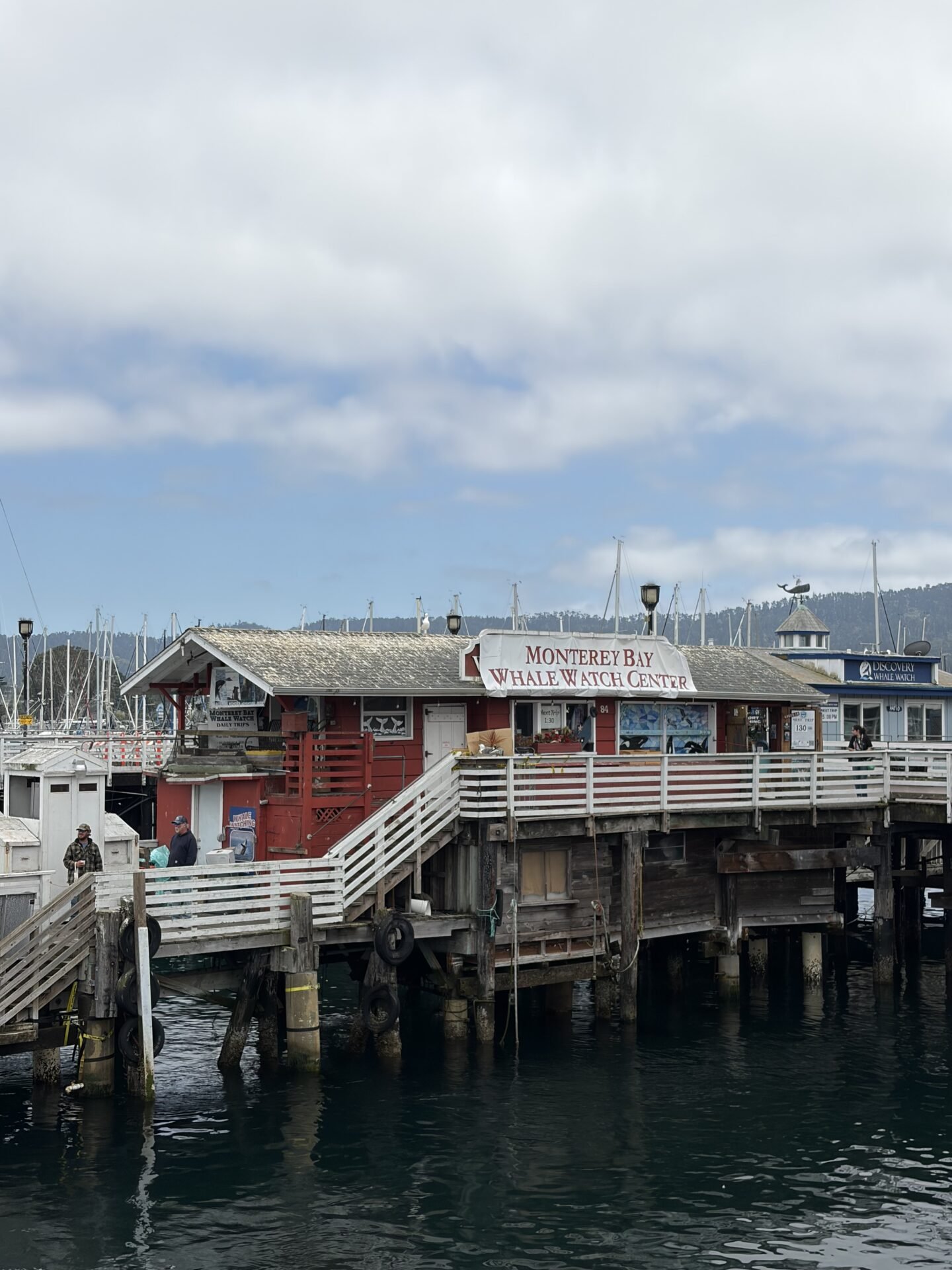 The 10 Best Things to Do in Monterey California: My Favorite Activities in 2026