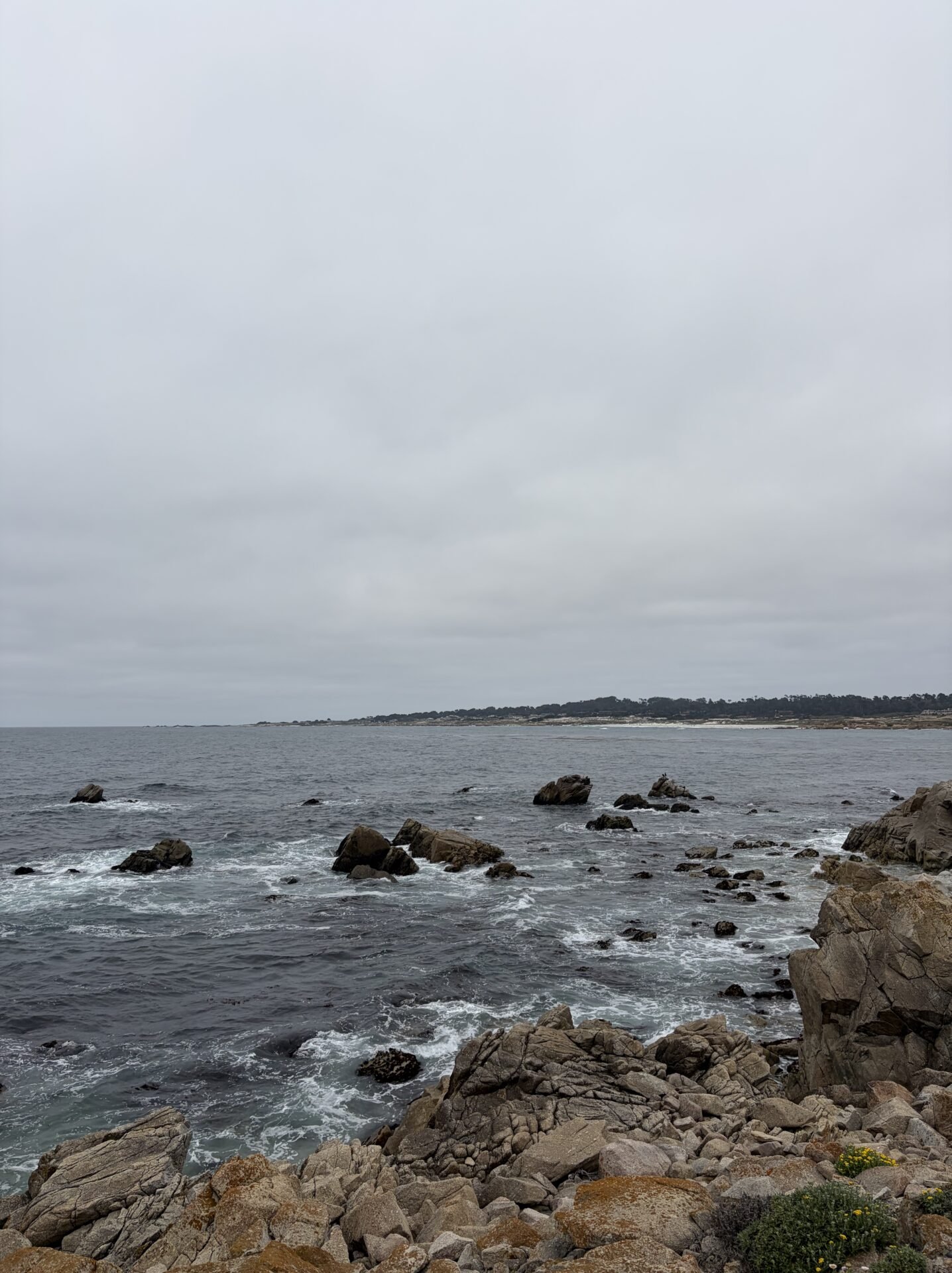 Is The 17-Mile Drive in California Worth It? My Honest Review in 2026