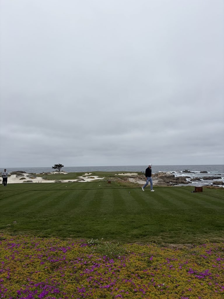 Is The 17-Mile Drive in California Worth It? My Honest Review in 2026