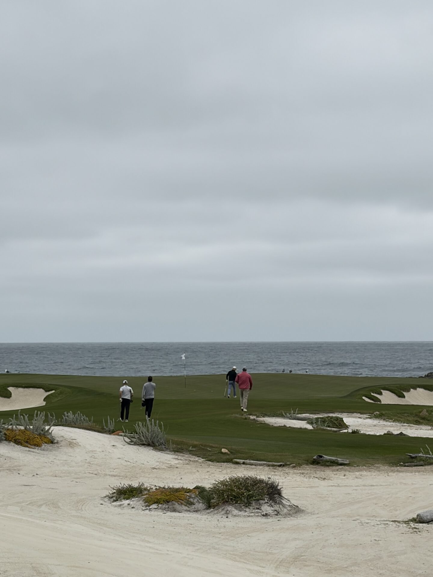 How Many Days in Monterey Do You Actually Need? My Honest Review in 2026