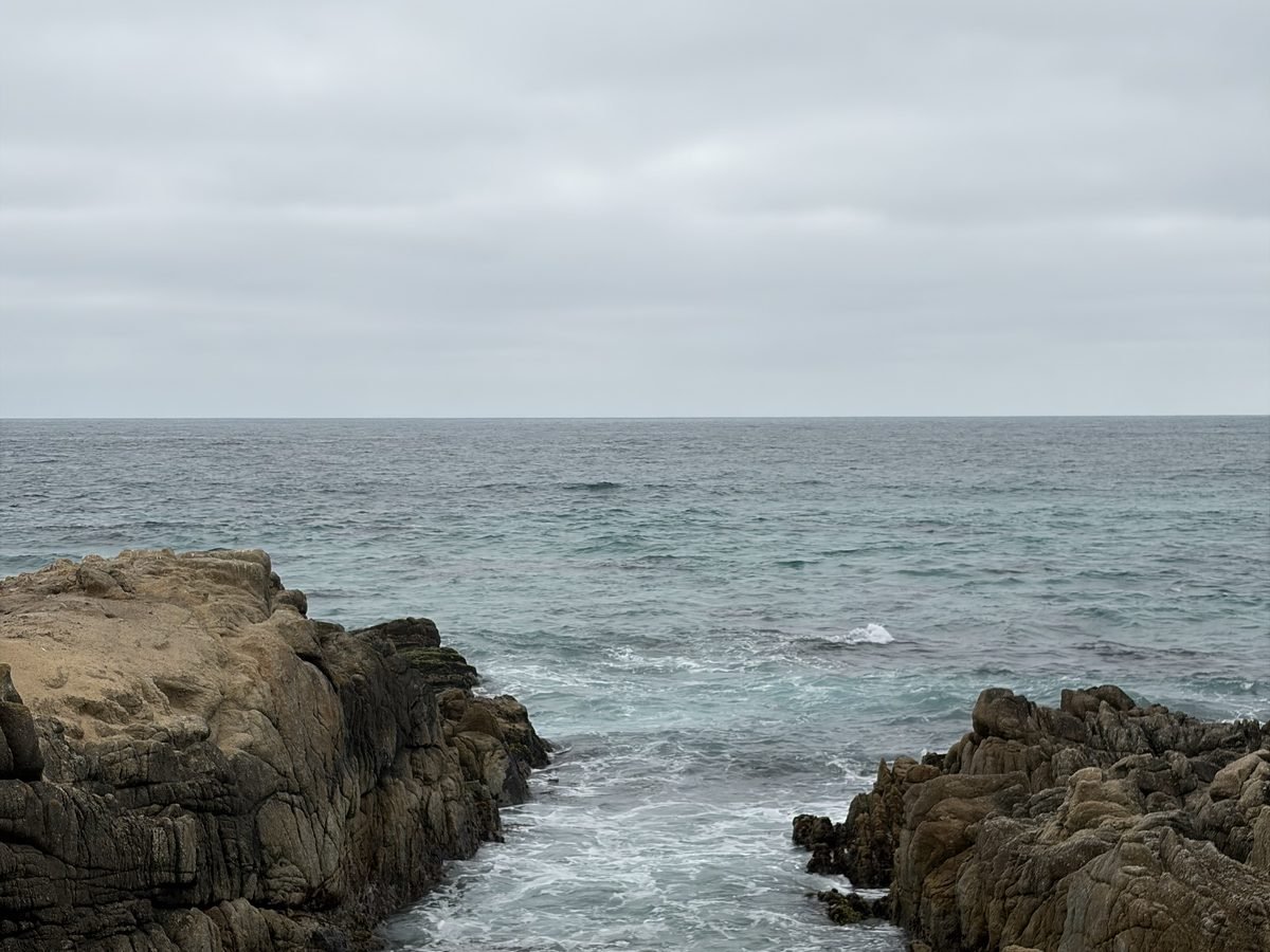 Is The 17-Mile Drive in California Worth It? My Honest Review in 2026