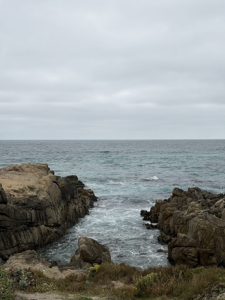 Is The 17-Mile Drive in California Worth It? My Honest Review in 2026