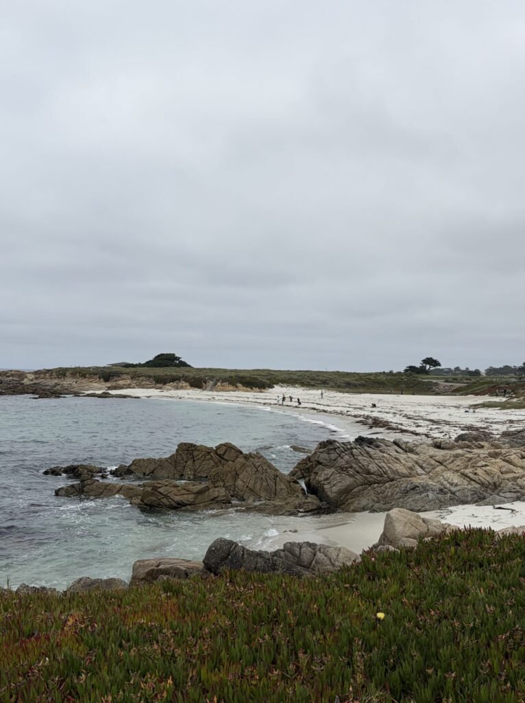 Is Carmel-by-the-Sea Worth Visiting? My Honest Review in 2026
