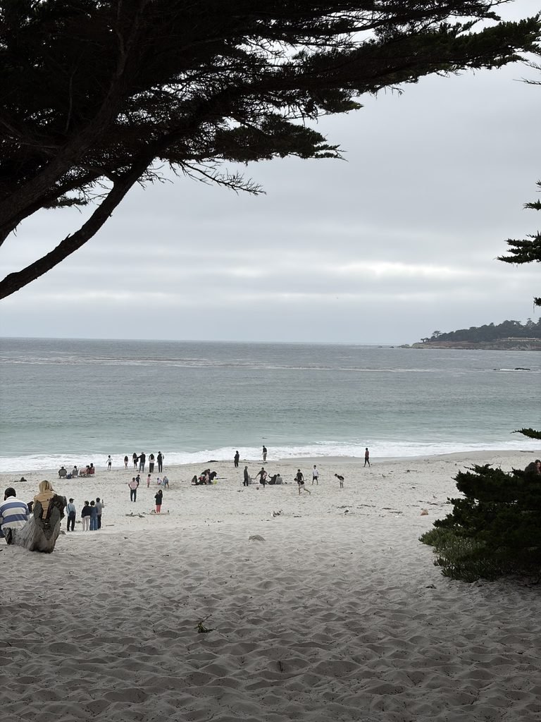The 7 Best Things to Do in Carmel-by-the-Sea: My Favorite Activities in 2026