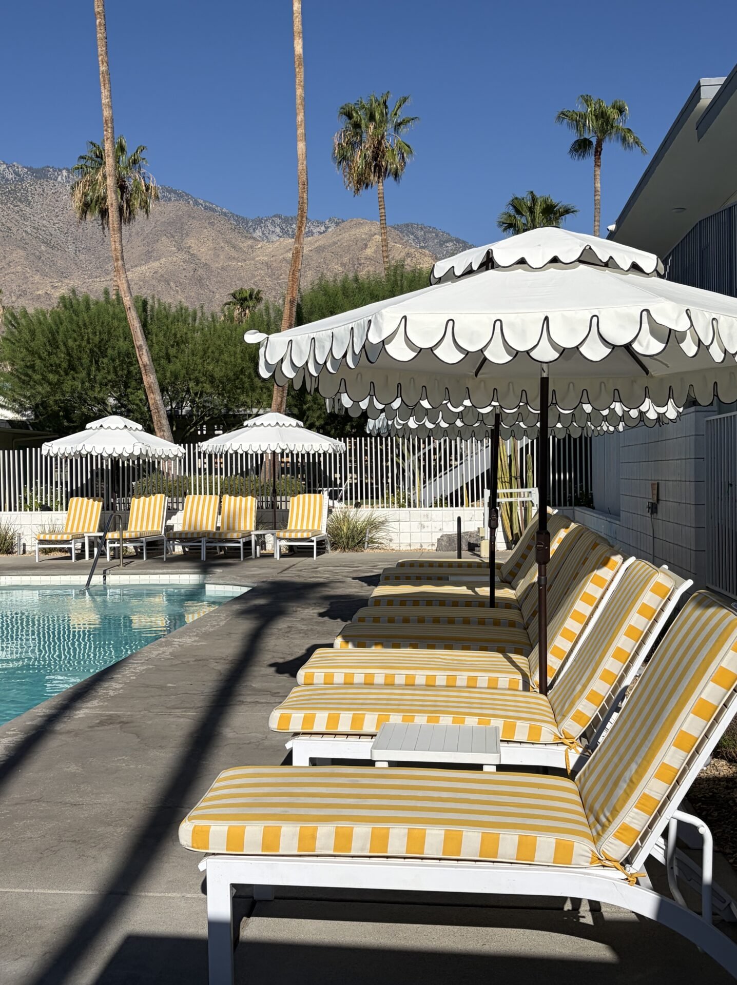Is Palm Springs Worth Visiting? My Honest Review in 2026