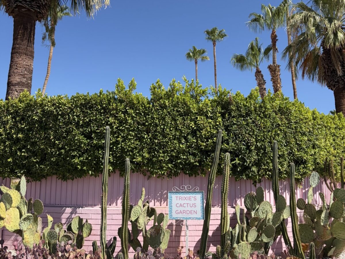 3 Days in Palm Springs: How I Spent My 72 Hours Here in 2026