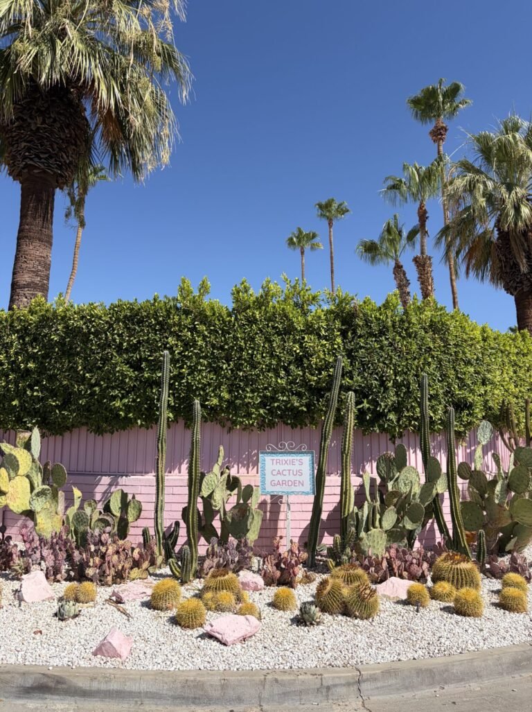 3 Days in Palm Springs: How I Spent My 72 Hours Here in 2026