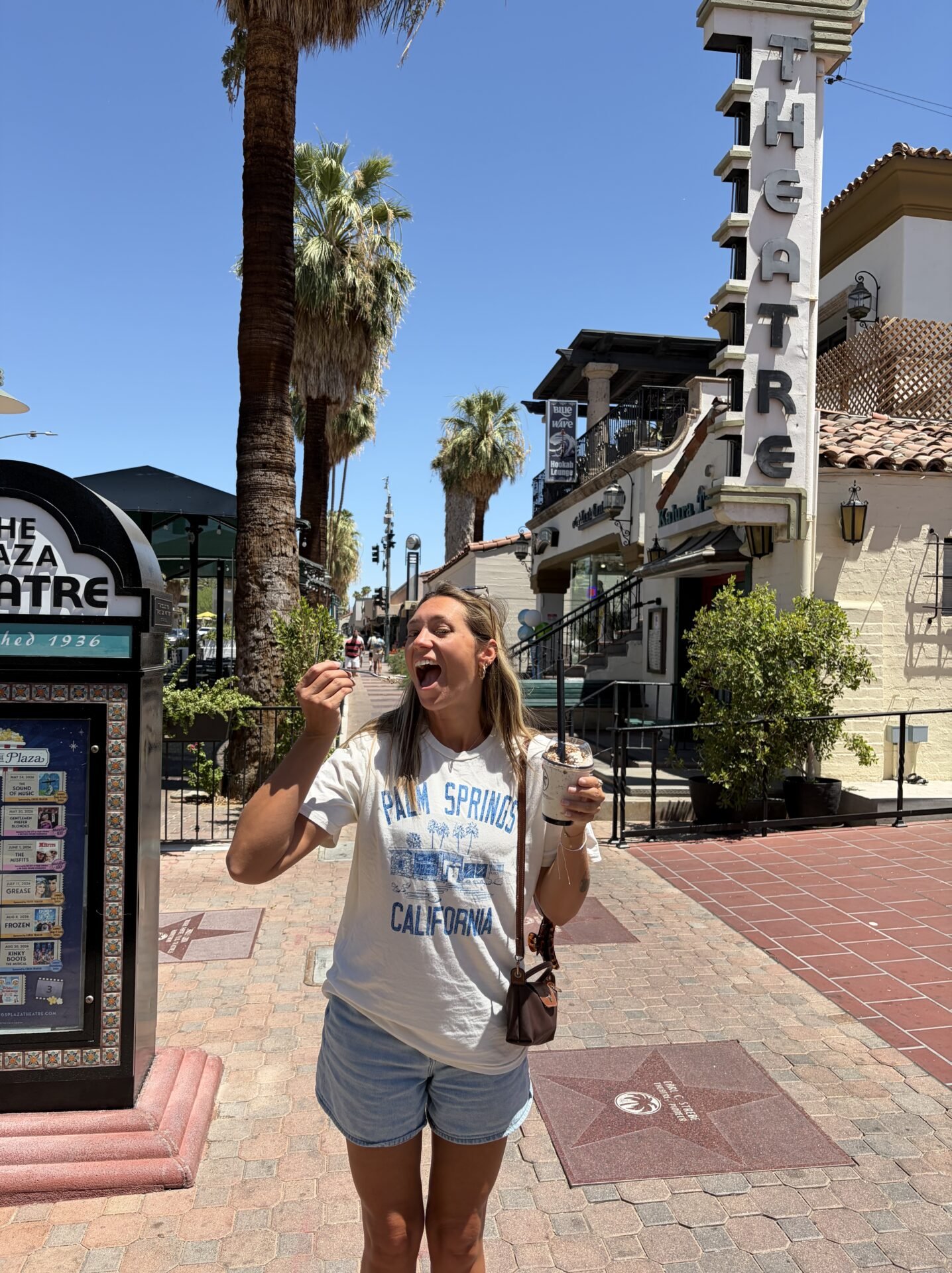 Is Palm Springs Worth Visiting? My Honest Review in 2026