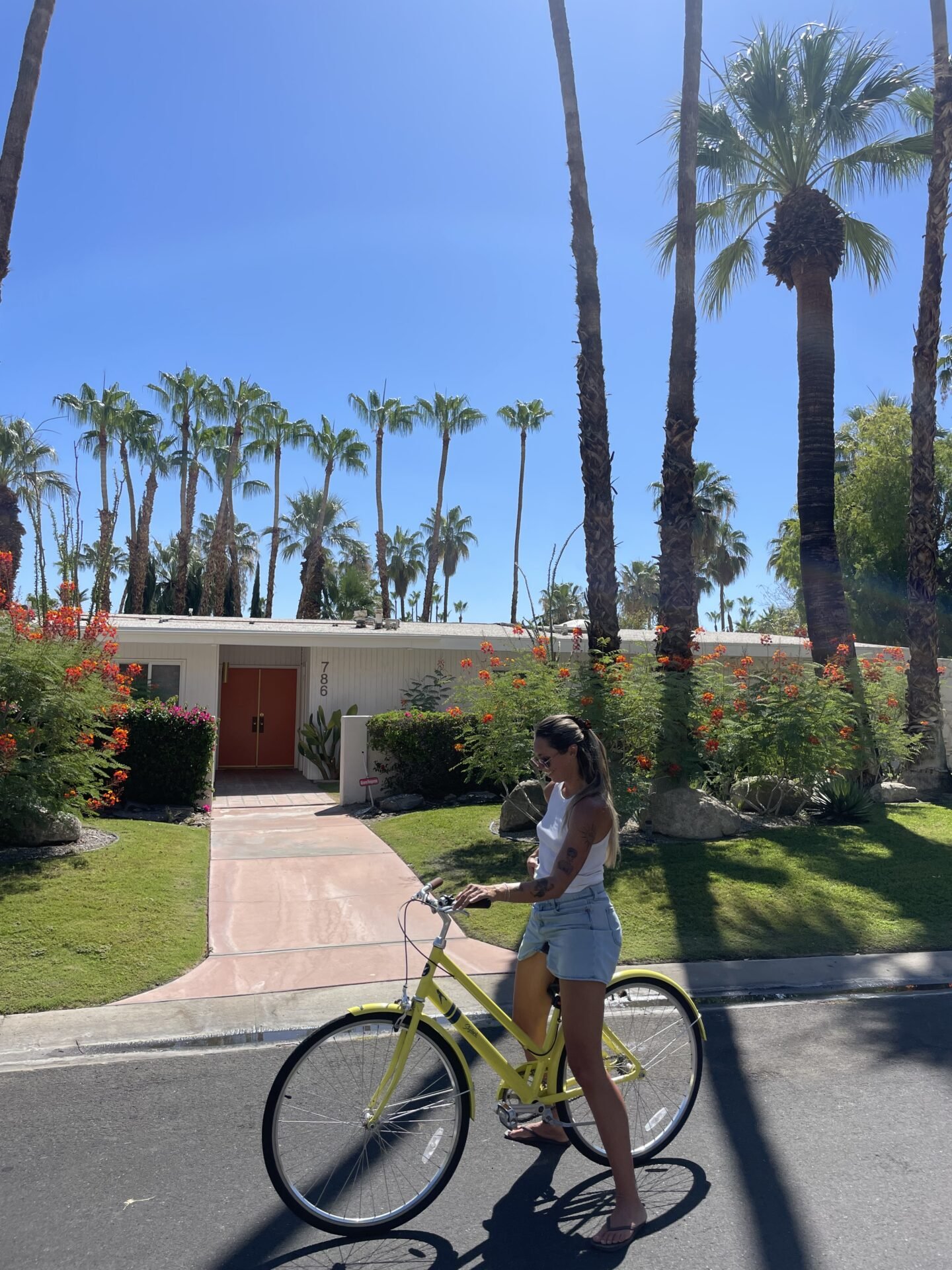 Is Palm Springs Worth Visiting? My Honest Review in 2026