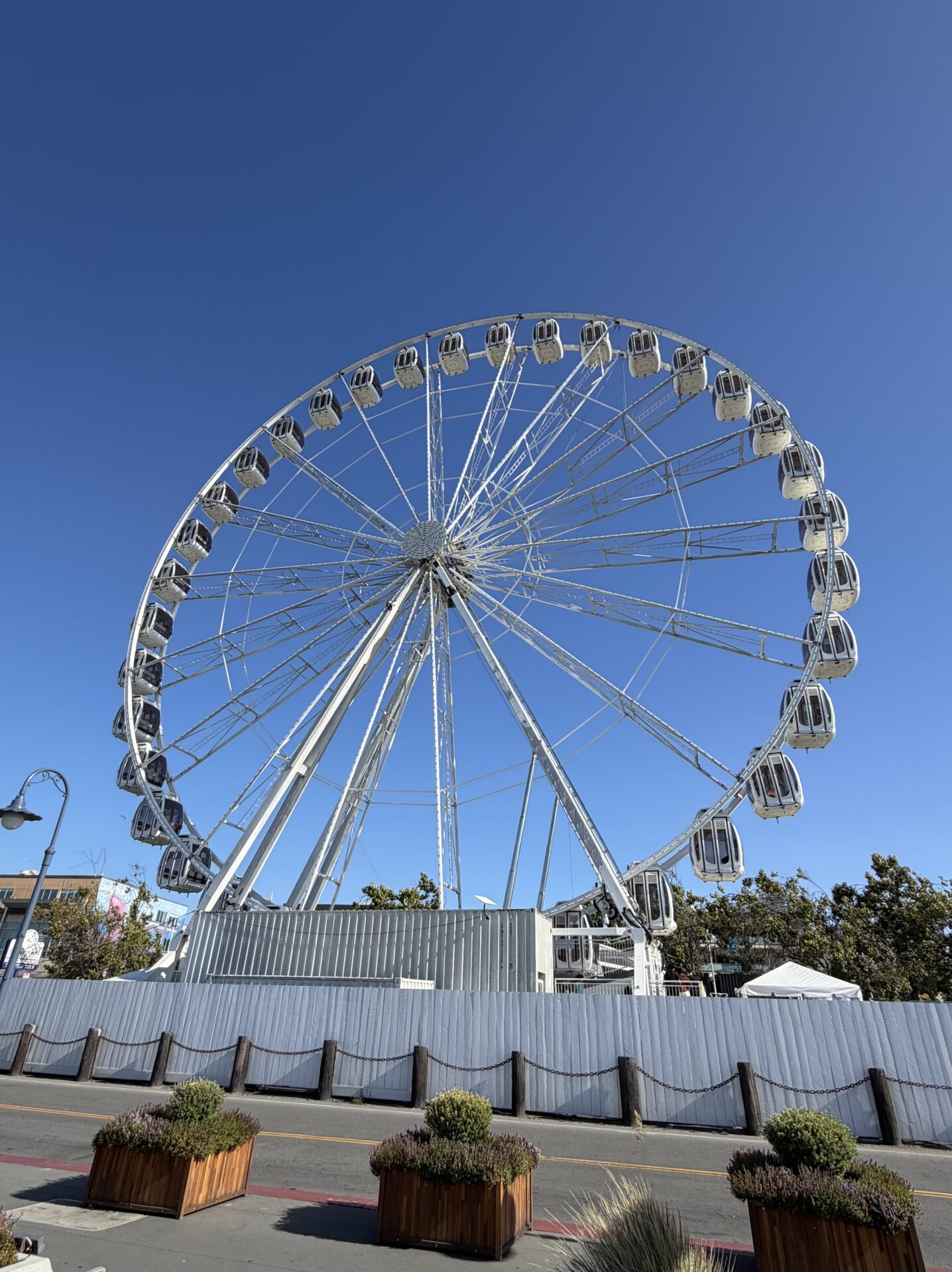 When Is the Best Time to Visit San Francisco? My Seasonal Guide for 2026