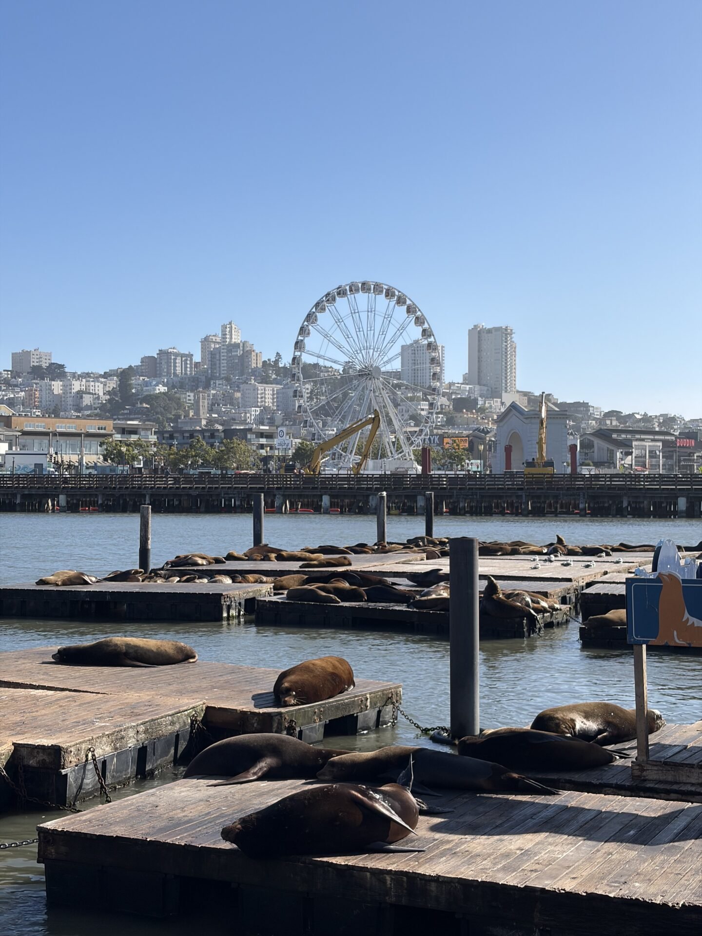 When Is the Best Time to Visit San Francisco? My Seasonal Guide for 2026