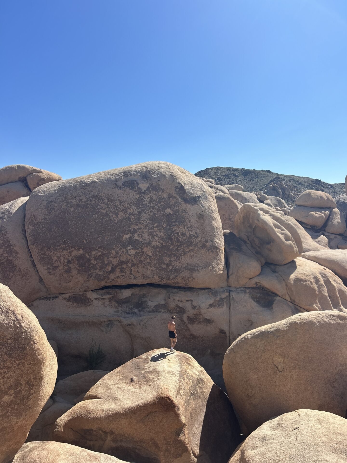 Is Palm Springs Worth Visiting? My Honest Review in 2026