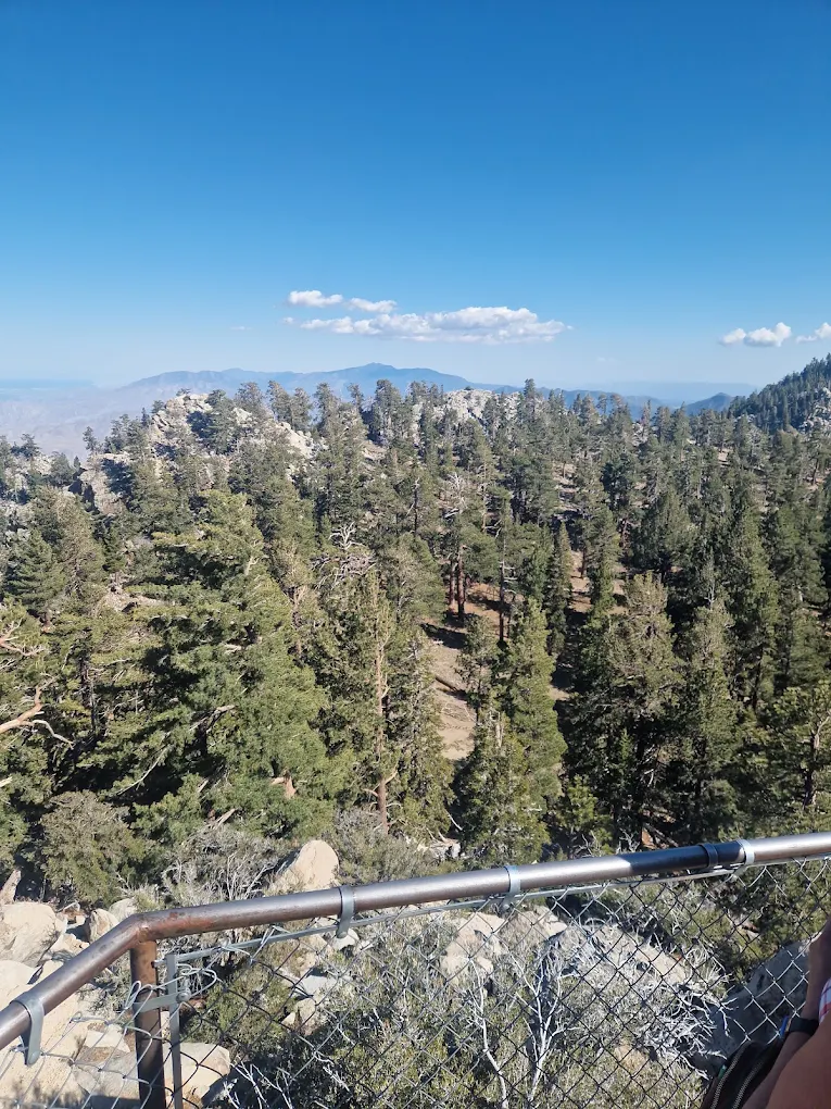 3 Days in Palm Springs: How I Spent My 72 Hours Here in 2026