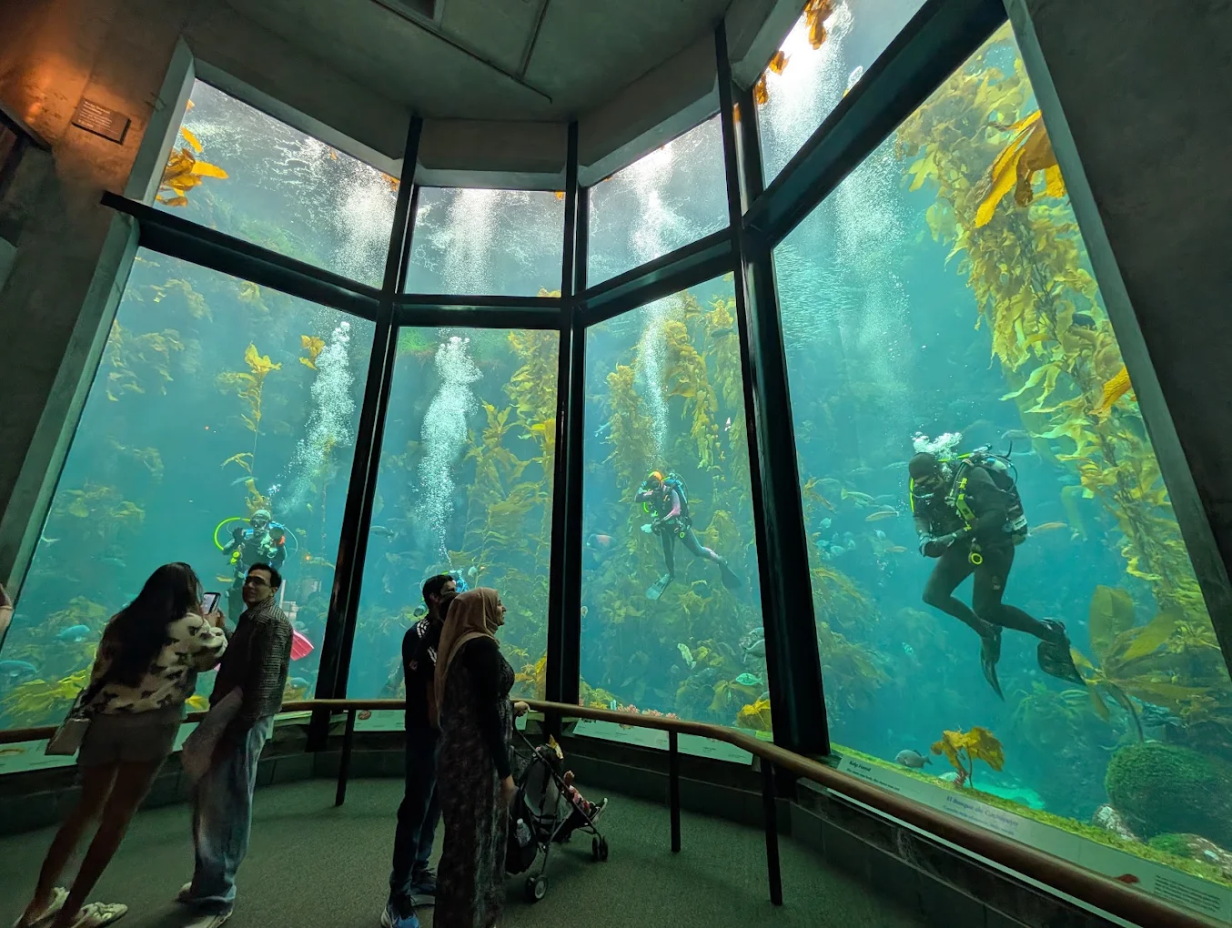 Is Monterey California Worth Visiting? My Honest Review in 2026
