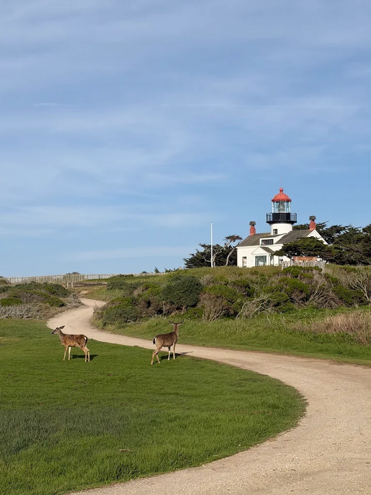 The 10 Best Things to Do in Monterey California: My Favorite Activities in 2026