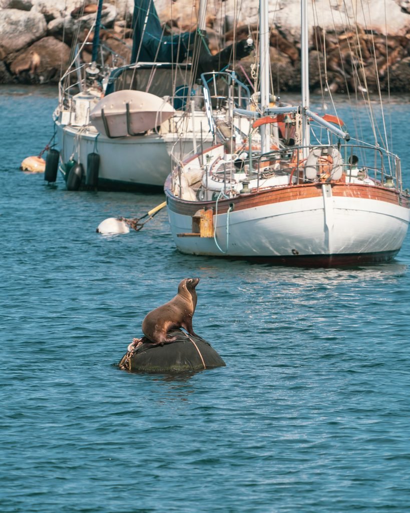 Where to Stay in Monterey California: My Favorite Areas & Hotels in 2026