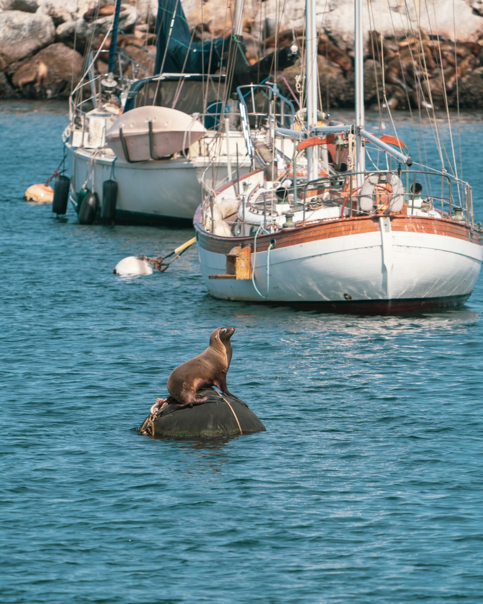 Is Monterey California Worth Visiting? My Honest Review in 2026